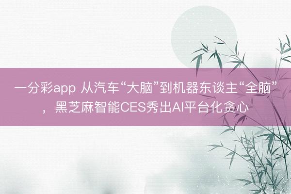 一分彩app 从汽车“大脑”到机器东谈主“全脑”，黑芝麻智能CES秀出AI平台化贪心